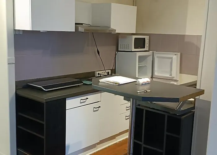 Superbe 3 Avec Et Balcon Apartamento Lyon